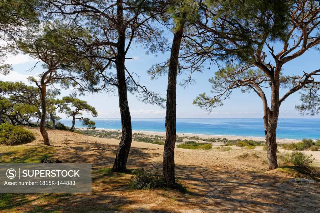 Turkey, Lycia, Pine trees on sand dunes near Patara