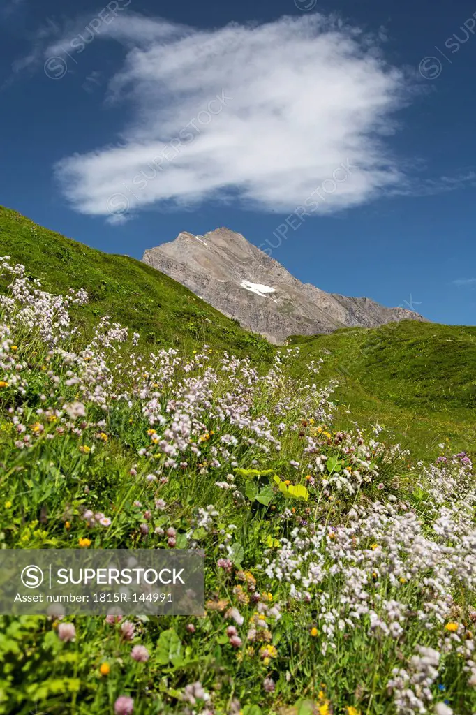 Austria, Mooserboden with peak Kitzsteinhorn