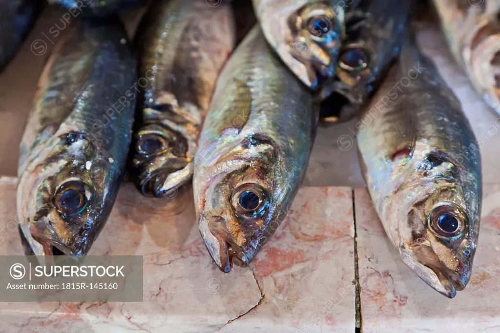 Portugal, Lagos, Horse mackerel fish