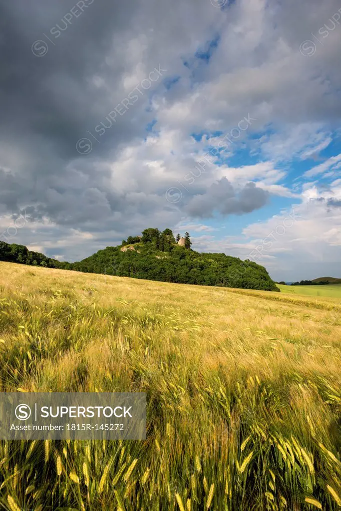 Germany, Baden Wuerttemberg, Constance, View of barley field in hegau landscape