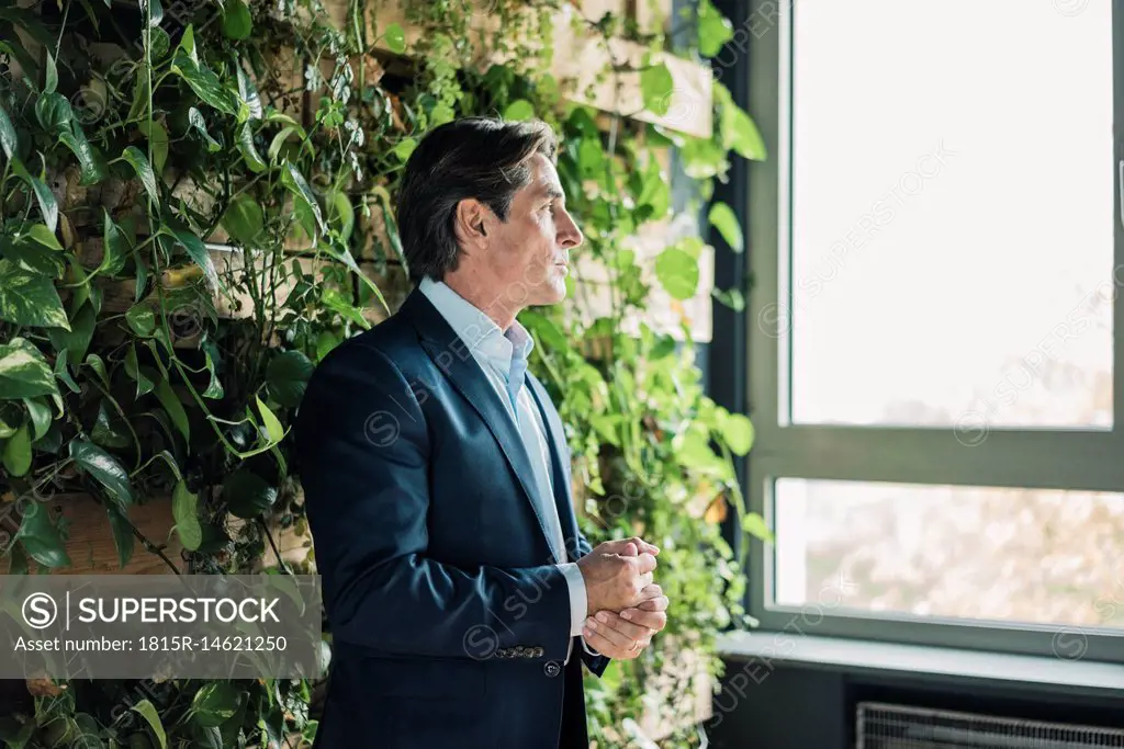 Businessman in green office looking out of window