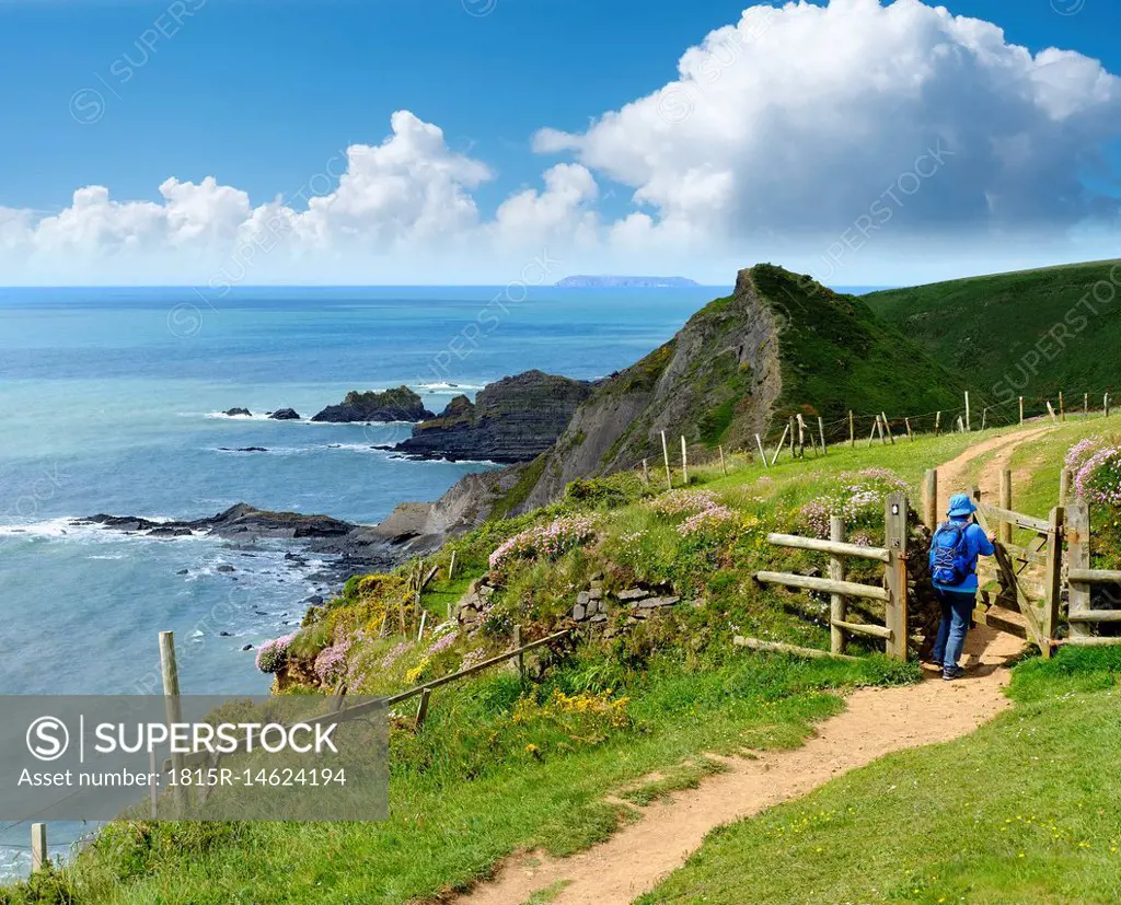 Great Britain, England, Devon, Hartland, Hartland Quay, Female hiker opening gate, coastal path