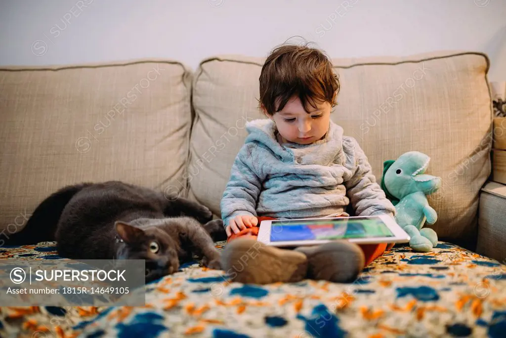 Baby girl sitting on couch watching videos on a tablet with a cat