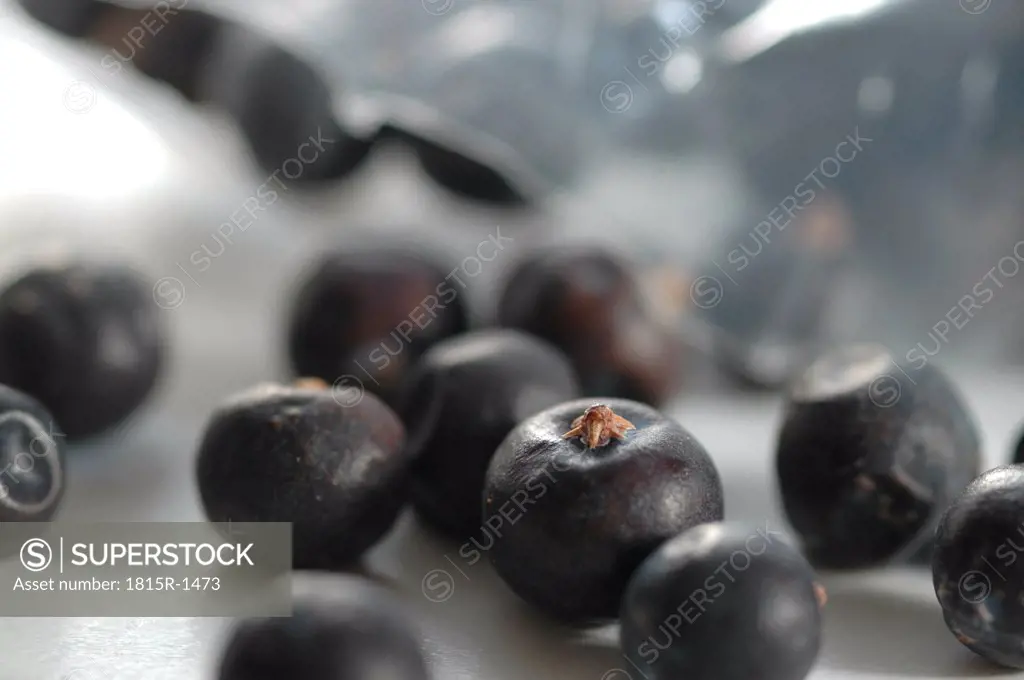 Juniper berries, close-up