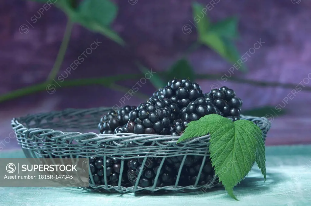 Blackberries in basket, studio shot