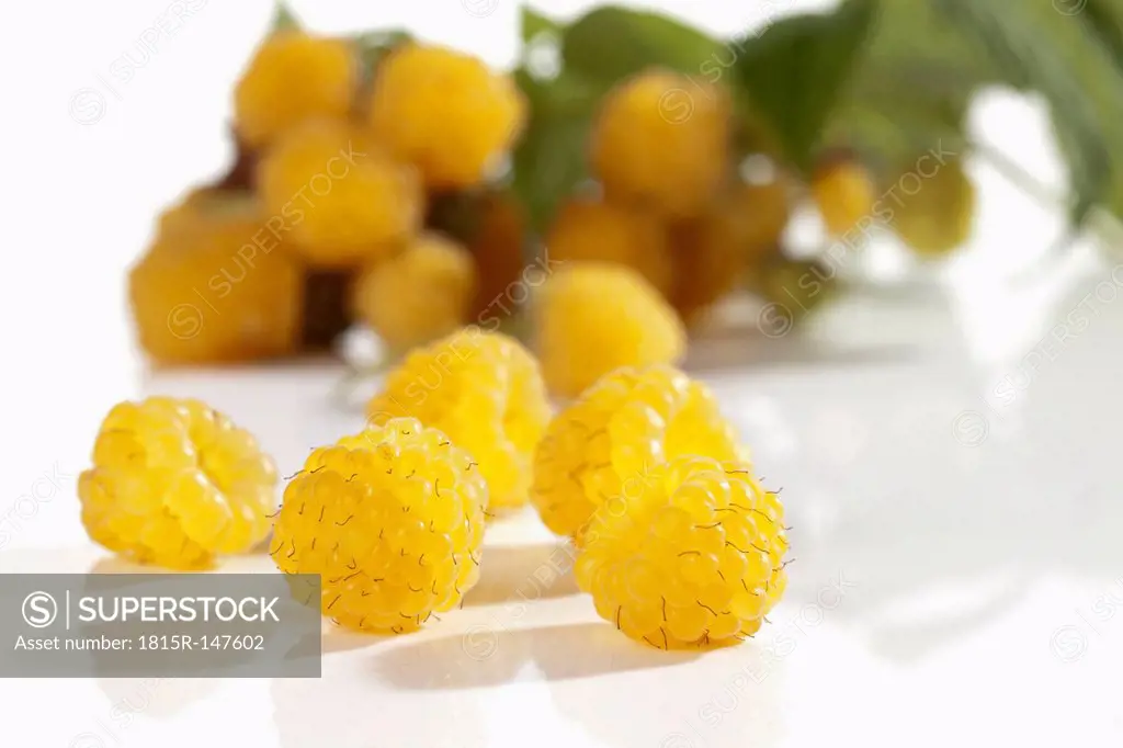 Yellow raspberries (Rubus idaeus), studio shot