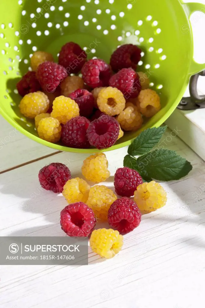 Yellow and red raspberries in green colander (Rubus idaeus) on white wooden table, studio shot