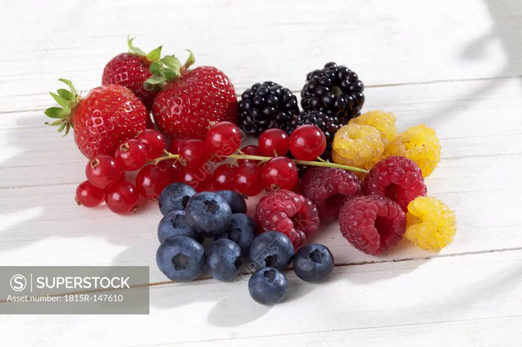 Yellow and red raspberries (Rubus idaeus), blackberries (Rubus sectio Rubus), strawberries (Fragaria), blueberries (Vaccinium myrtillus), red currants...