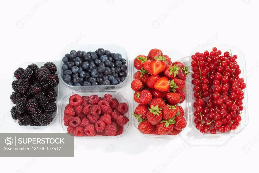 Five plastic trays with raspberries (Rubus idaeus), blackberries (Rubus sectio Rubus), strawberries (Fragaria), blueberries (Vaccinium myrtillus), red...