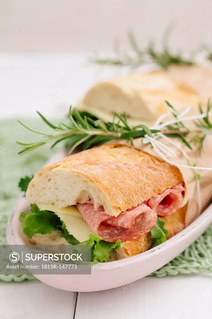 Baguette sandwiches on serving plate, close up