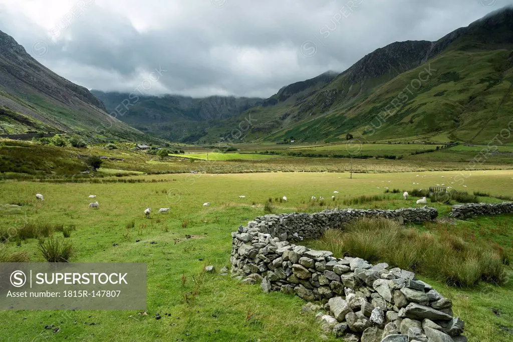 Great Britain, Wales, Gwynedd, Ogwen Valley, Snowdonia National Park