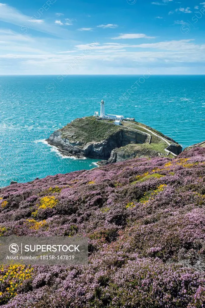 UK, Wales, Anglesey, Holy Island, cliff coast of South stack with lighthouse