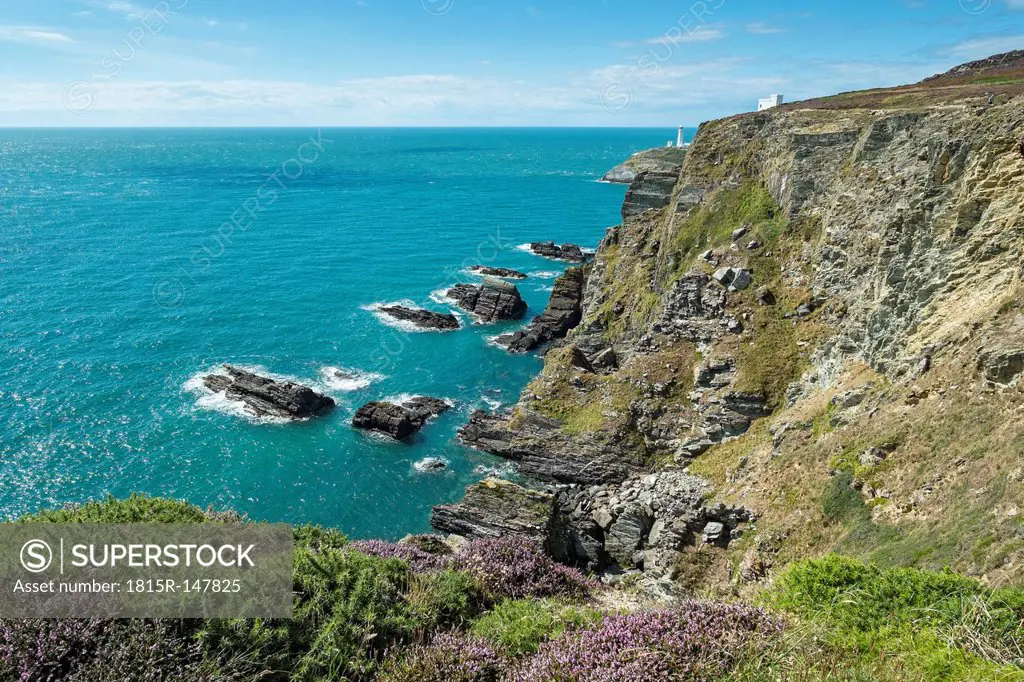 UK, Wales, Anglesey, Holy Island, cliff coast of South stack