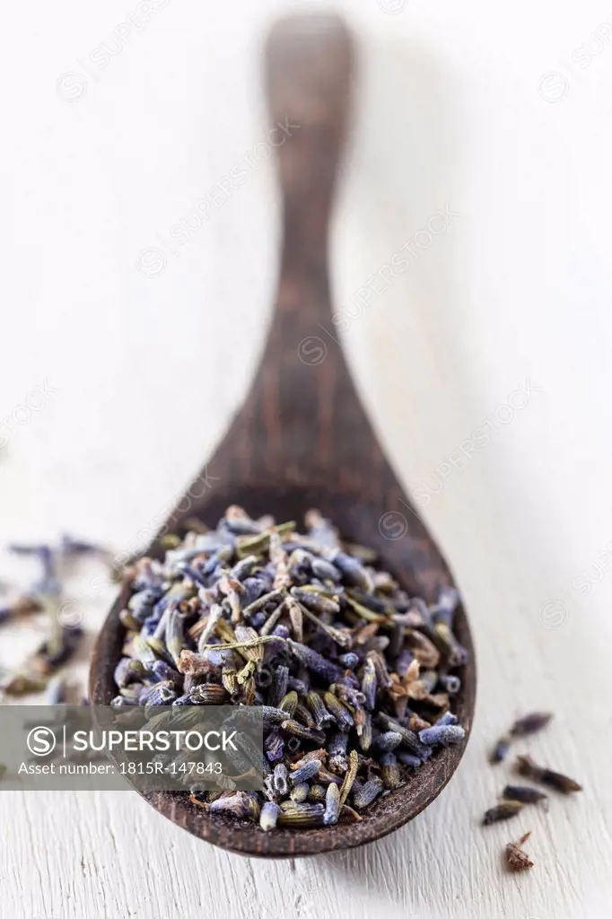 Dried lavender on spoon, studio shot