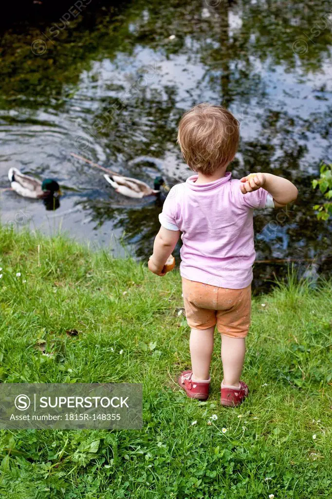 Germany, Kiel, girl stands at a pond feeding ducks