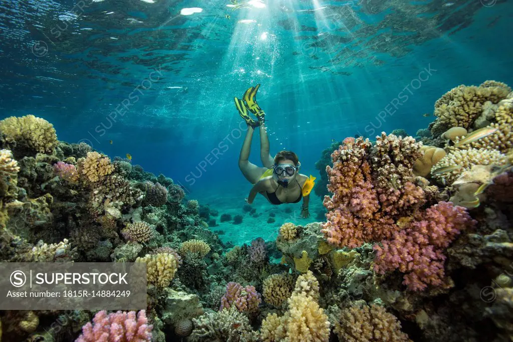 Egypt, Red Sea, Hurghada, teenage girl snorkeling at coral reef