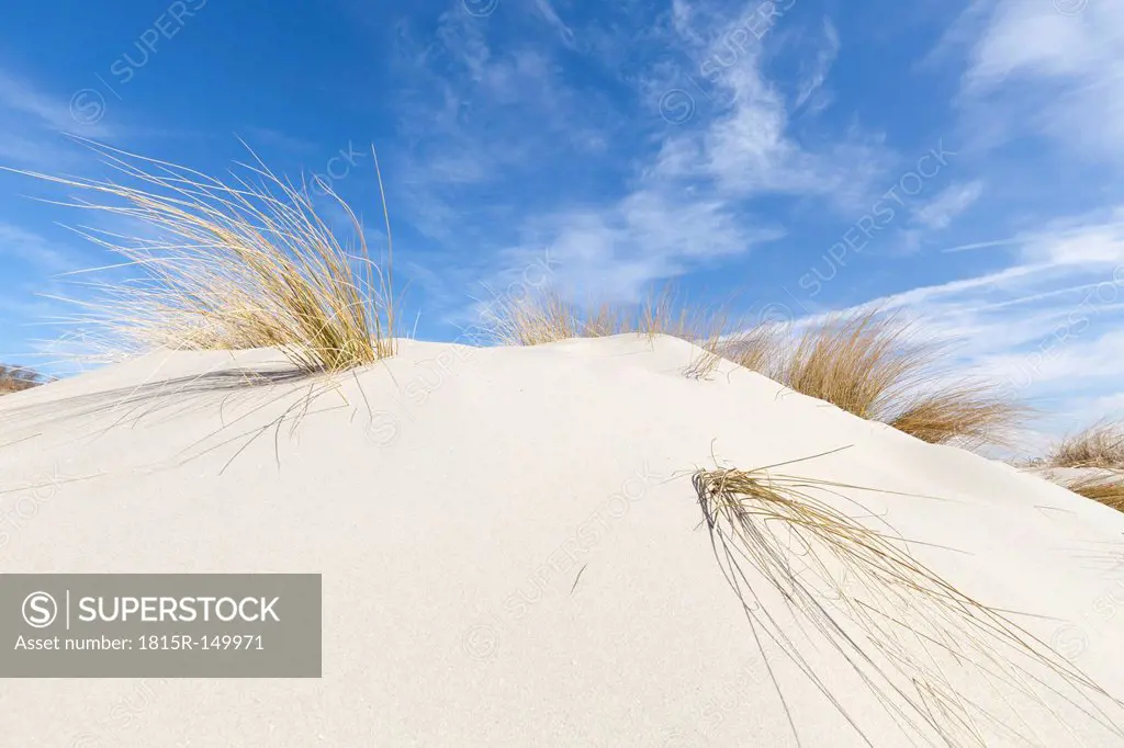 Germany, Lower Saxony, East Frisia, Borkum, dune and marram grass