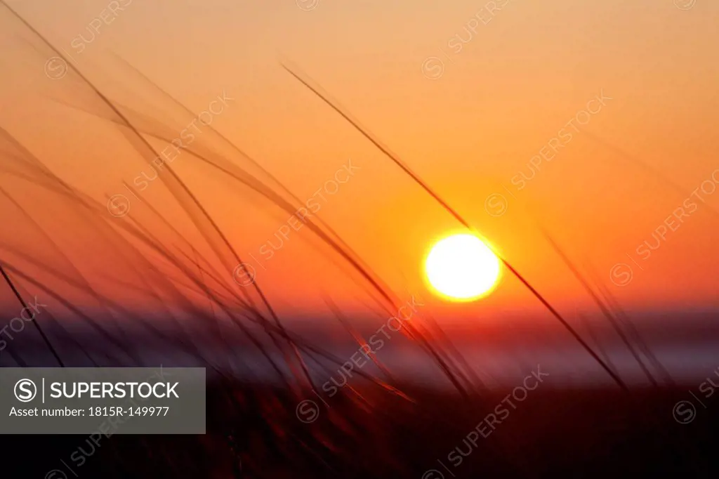 Germany, Lower Saxony, East Frisia, Borkum, Lower Saxon Wadden Sea National Park, sunset