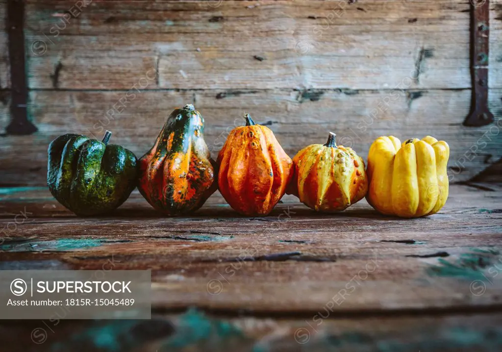 Row of five Ornamental pumpkins on wood