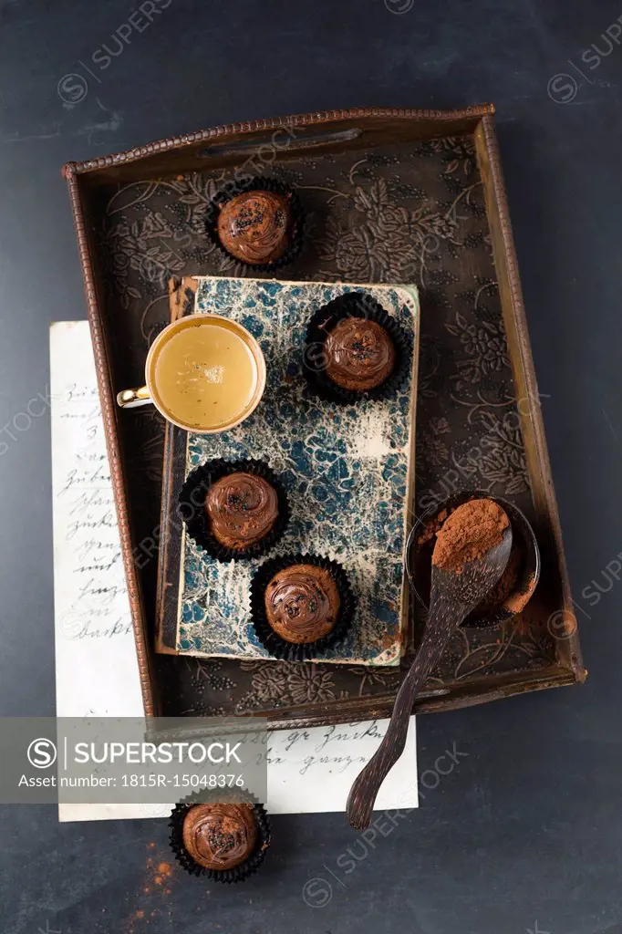 Small cupcakes with chocolate cream and cocoa powder