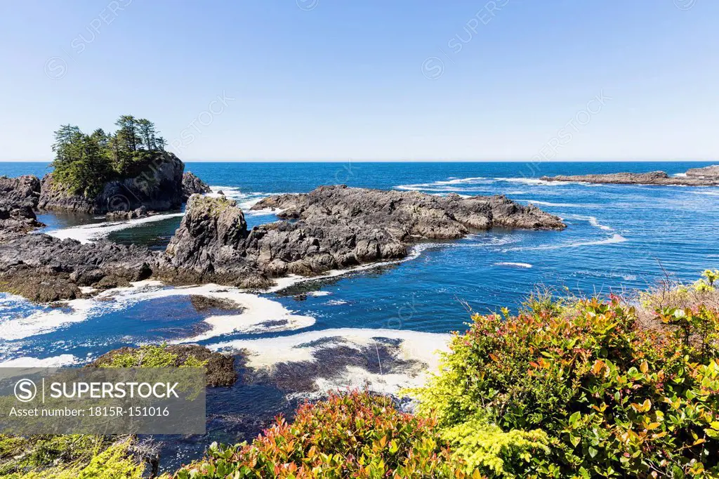 Canada, British Columbia, Vancouver Island, Pacific Rim National Park Reserve of Canada, rocky shore at Wild Pacific Trail