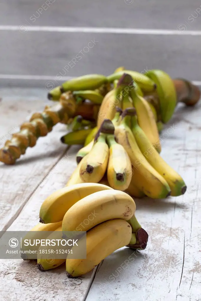 Banana tree (Musa paradisiaca) and bunch of bananas on white wooden table, studio shot