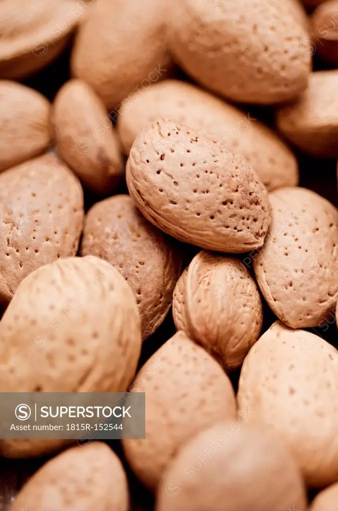 Almonds with shell, close-up