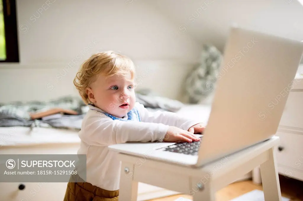 Little boy at home playing with laptop