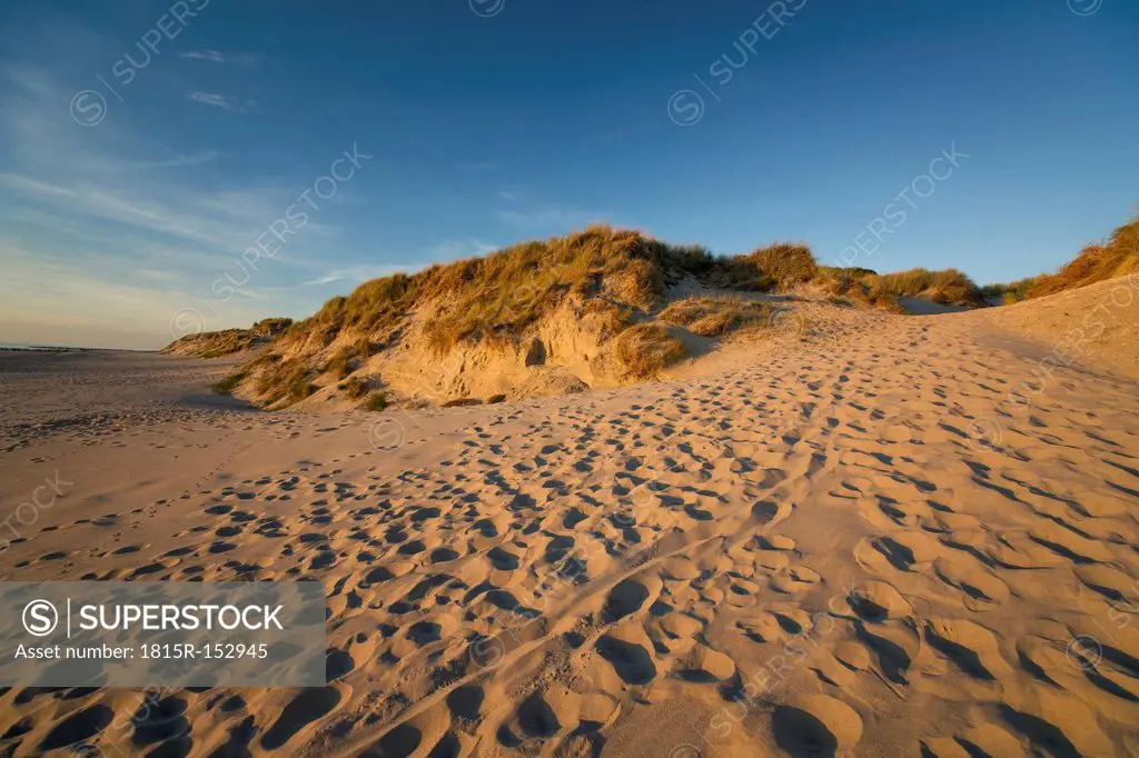 Holland, North Sea, coast, dunes in the evening