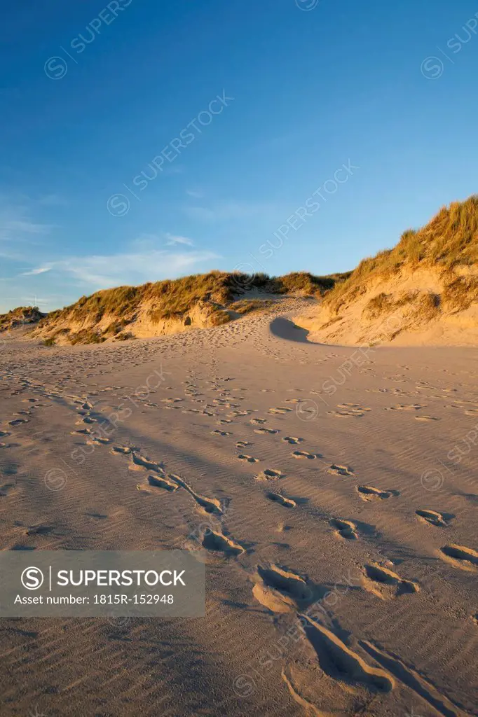 Holland, coast, North Sea, dunes, evening