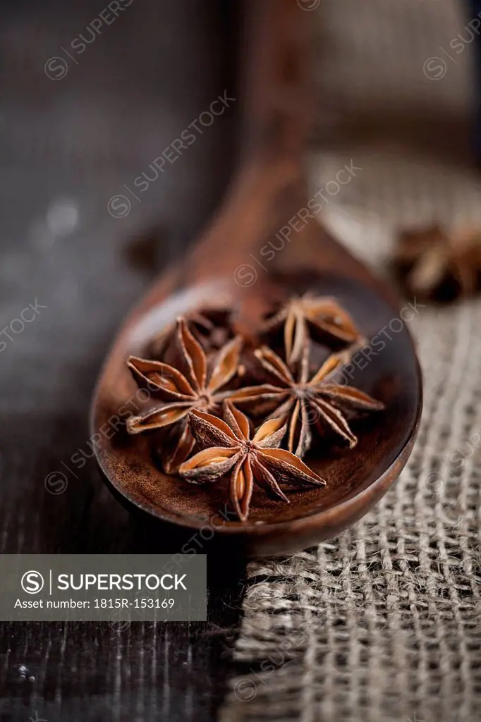 Star anise on wooden spoon on burlap, studio shot