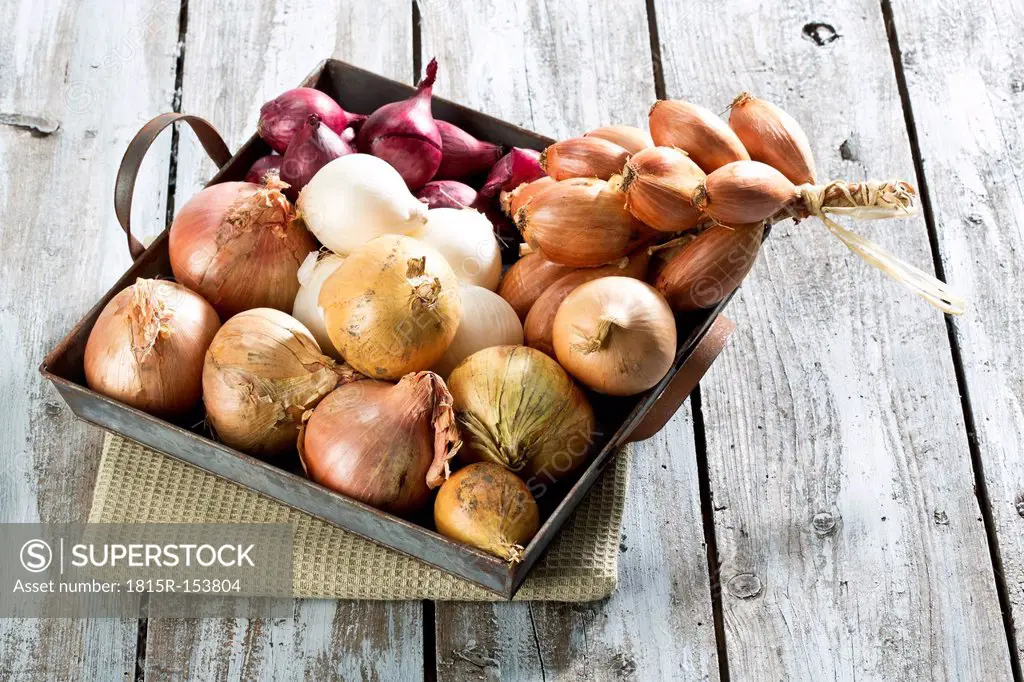 Variety of onions, close up