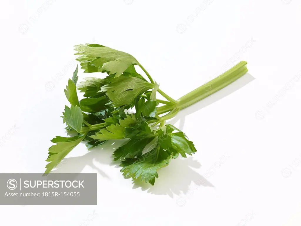 Celery, studio shot