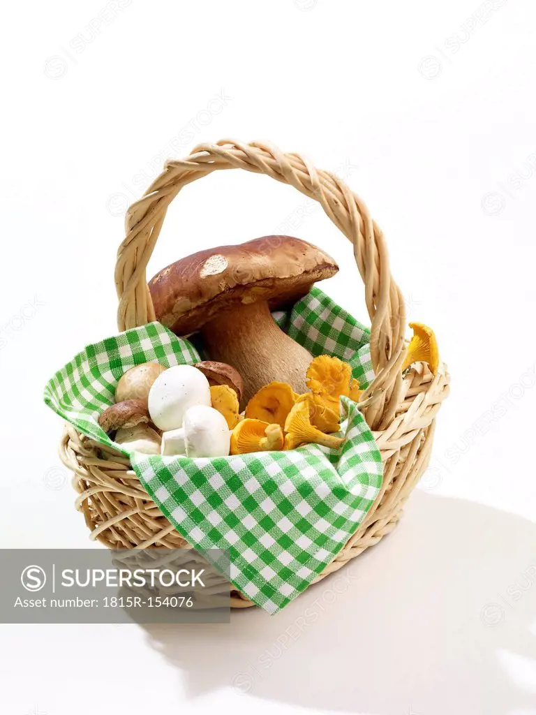 Basket with different mushrooms, studio shot