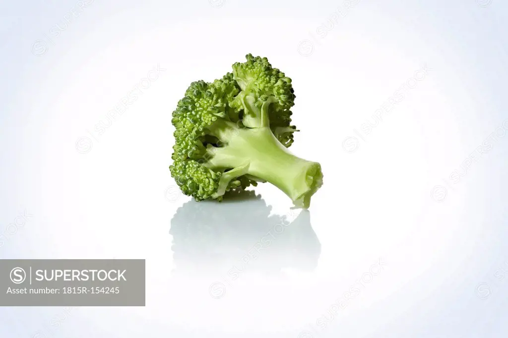 Broccolin floret, studio shot