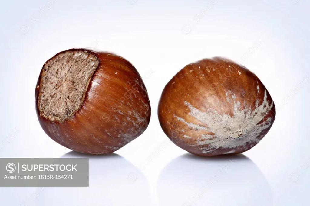Two hazelnuts, close up