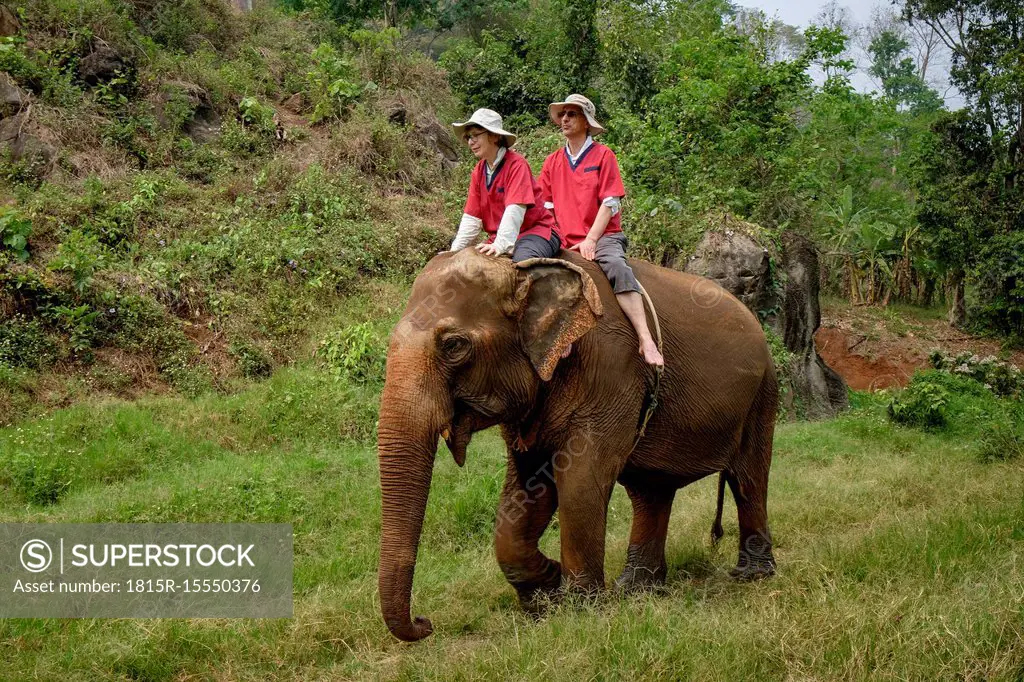 Thailand, Chiang Mai province, Ran Tong Elephant Sanctuary, Elephant trekking