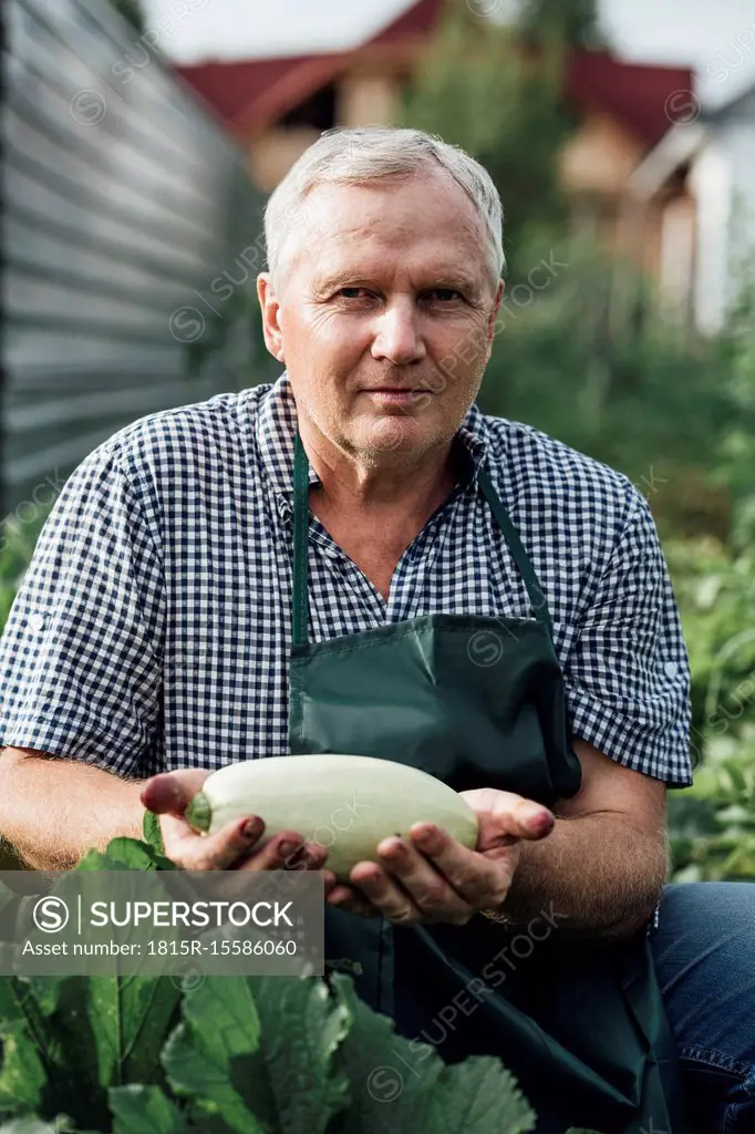 Gardener holding zucchini