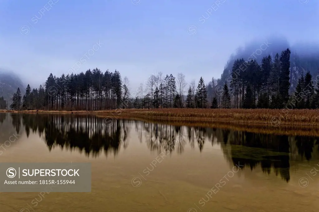 Austria, Upper Austria, Salzkammergut, Gruenau, Alm valley, Lake Almsee