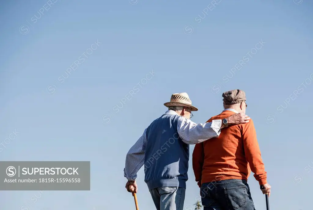 Two old friends taking a stroll through the fields, talking about old times