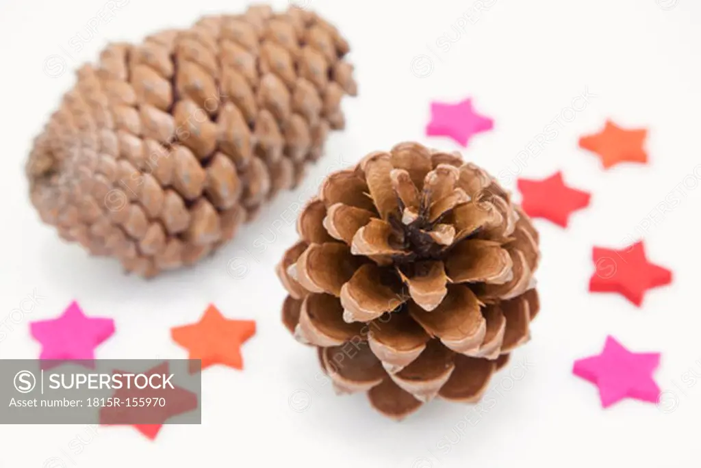 Fir cone and star-anise
