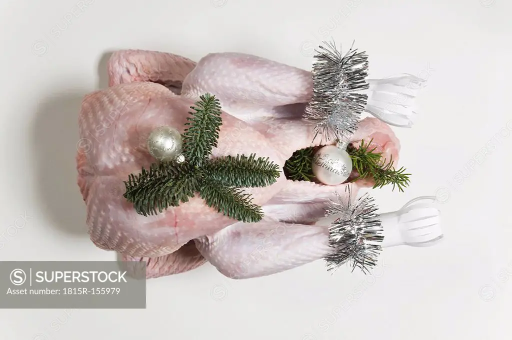 Raw Turkey with Christmas decoration, elevated view