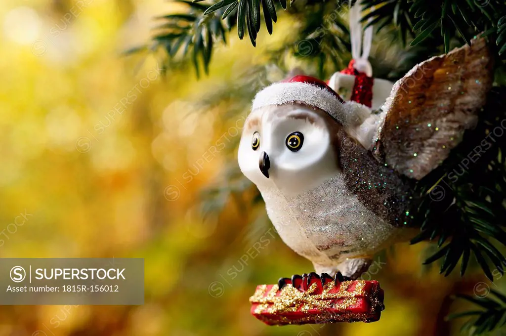 Germany, Minden, christmas bauble, owl with present