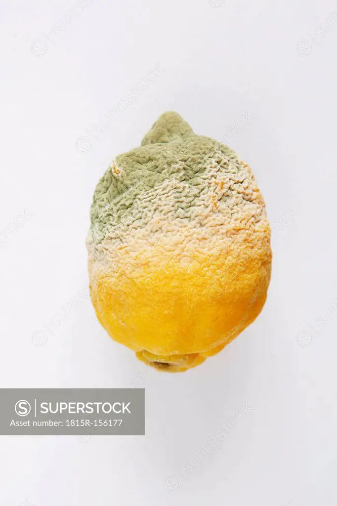 Rotting lemon, close up