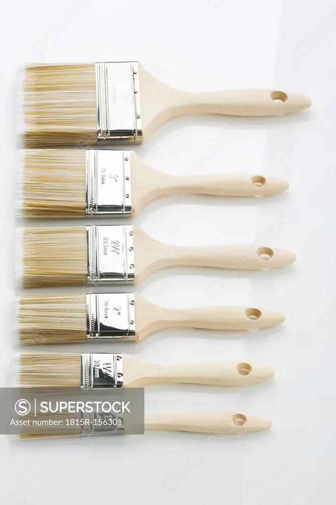 Row of paint brushes