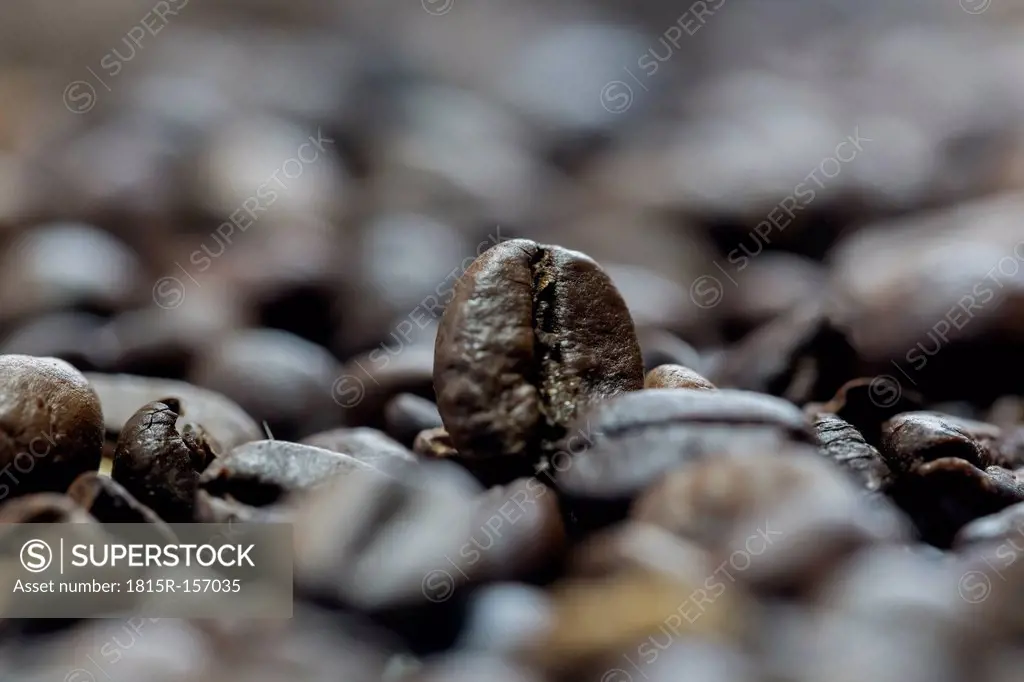 Coffee beans, macro photography