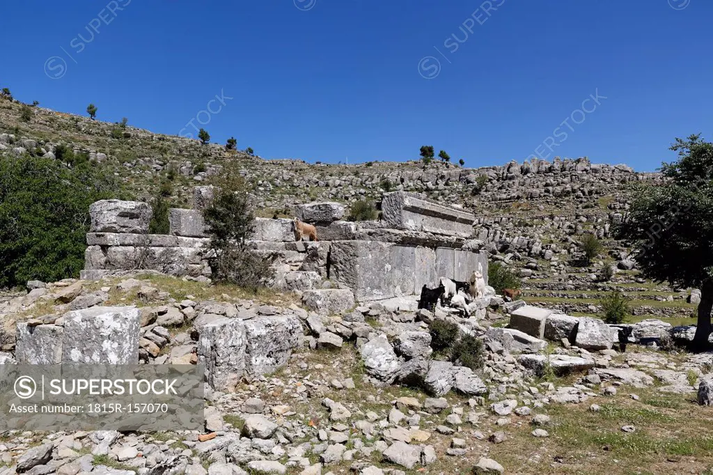 Turkey, Antalya Province, Manavgat, Koepruelue Canyon National Park, archaeological site of Selge