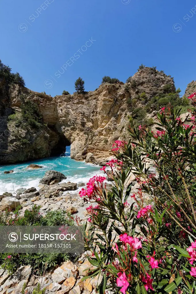 Turkey, Antalya Province, Alanya, Turkish Riviera, Cilicia, Gazipasa, ancient city Antiochia ad Cragum, oleander and rock formation