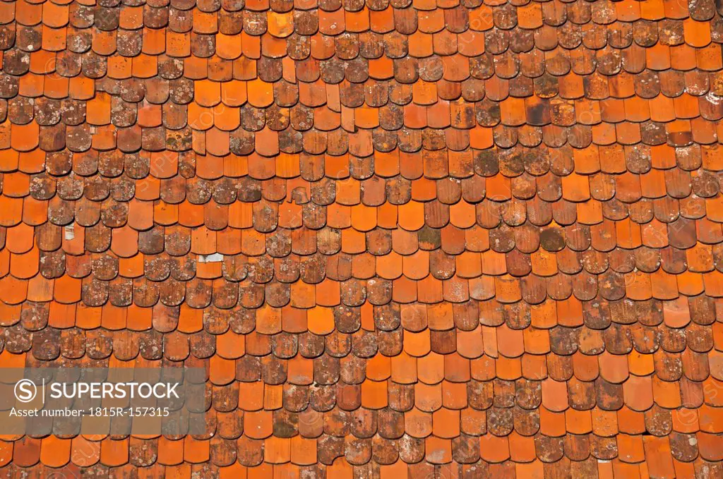 Part of a roof with beaver tail tiles