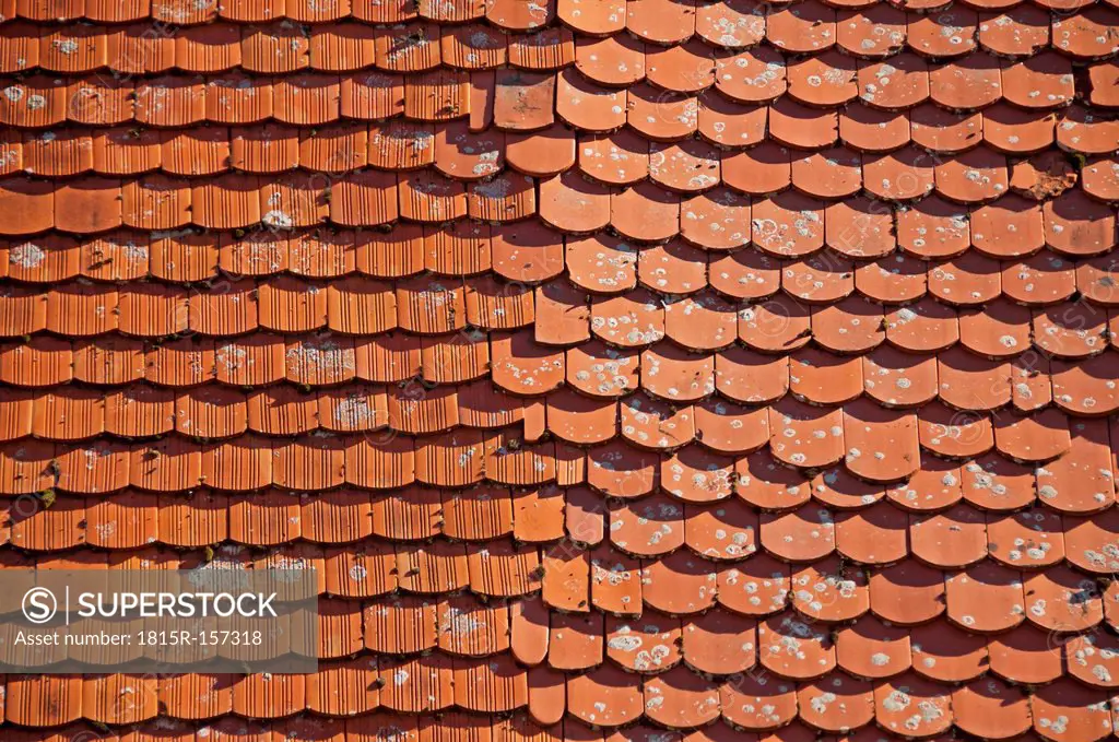 Part of a roof with different beaver tail tiles